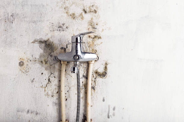 Best Local Mold Removal Service  in Pleasant Hill, PA