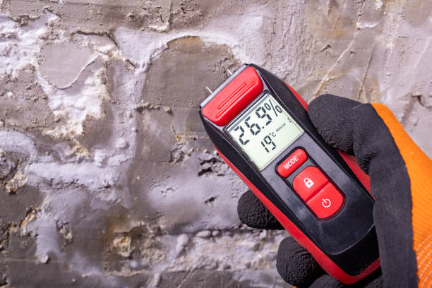 Attic Mold Removal in Pleasant Hill, PA